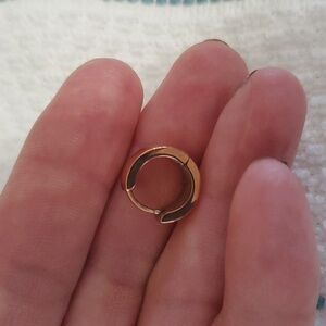 Rose gold plated titanium steel hoop earrings